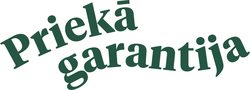 Kvietkai raudonų gėlių žiemos motyvų puokštė